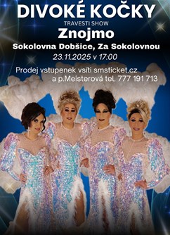 Travesti Divoké kočky ve Znojmě - ventip.cz
