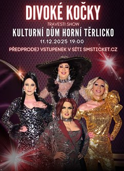 Travesti show Divoké kočky Horní Těrlicko - ventip.cz