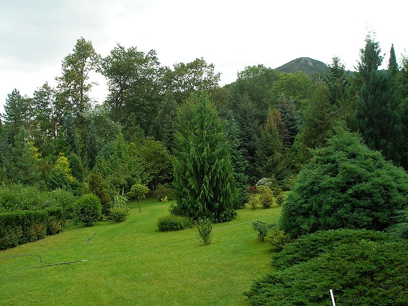 Arboretum Josefa Eberta - ventip.cz