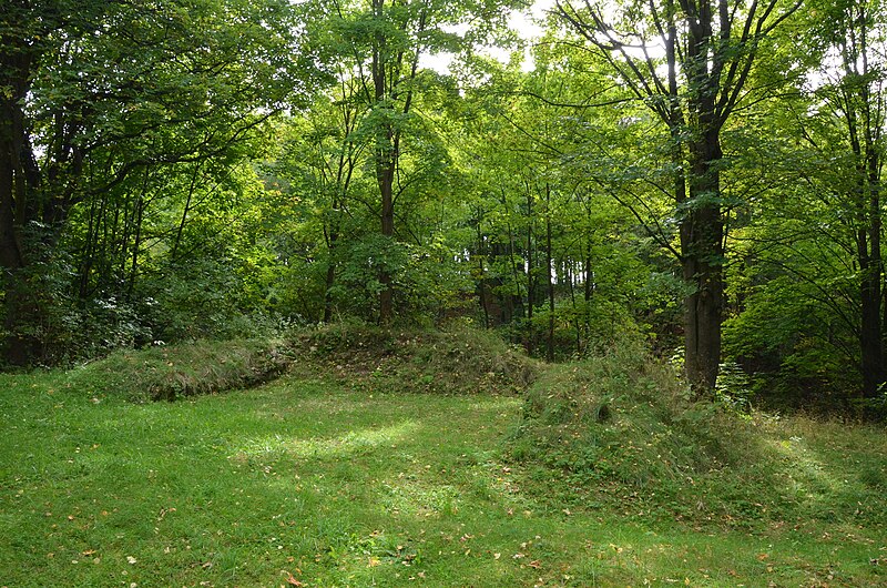 Boršegrýn (hrad) - ventip.cz