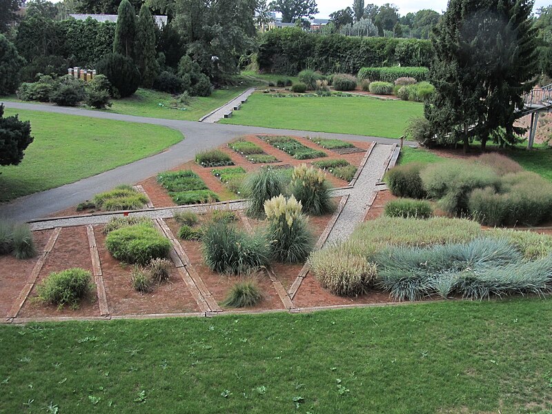 Botanická zahrada Výstaviště Flora Olomouc - ventip.cz