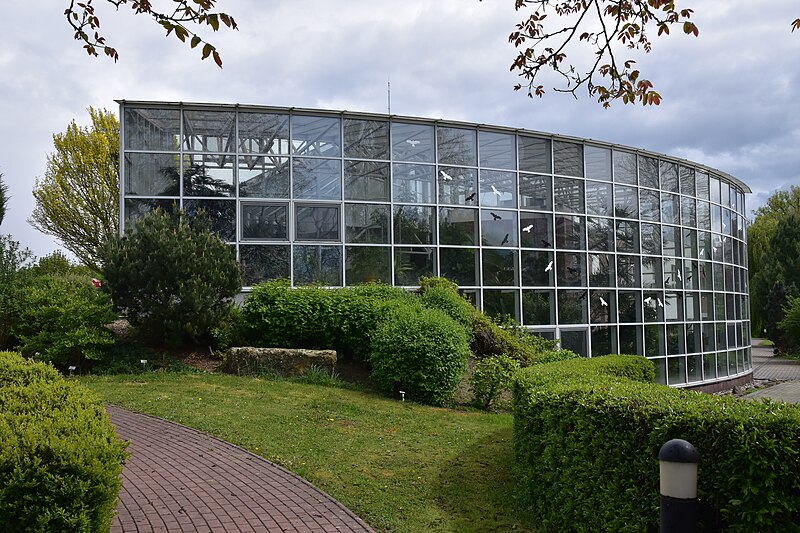 Botanická zahrada léčivých rostlin Farmaceutické fakulty UK - ventip.cz