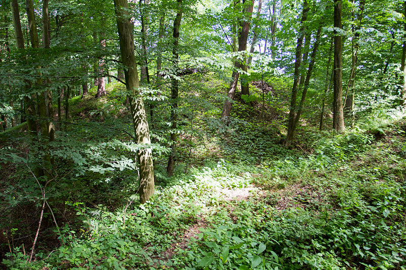 Čejchanov (hrad) - ventip.cz