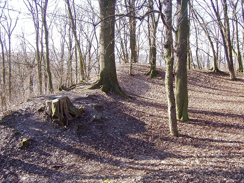 Choustníkovo Hradiště (hrad) - ventip.cz