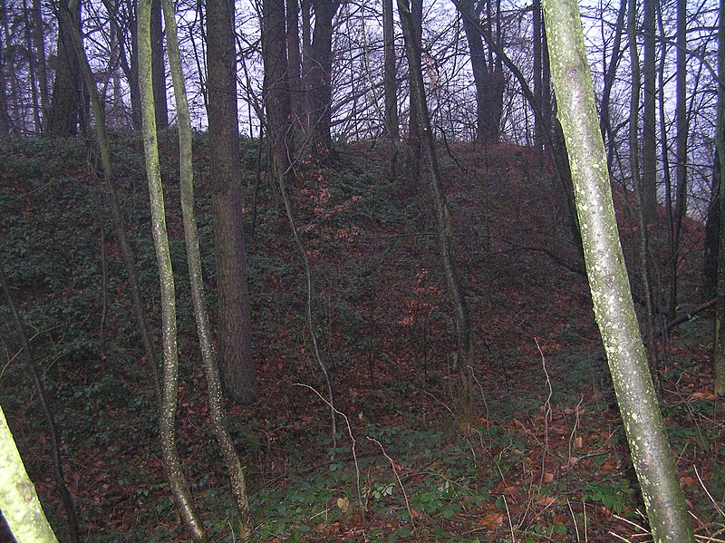 Darebnice (hrad) - ventip.cz
