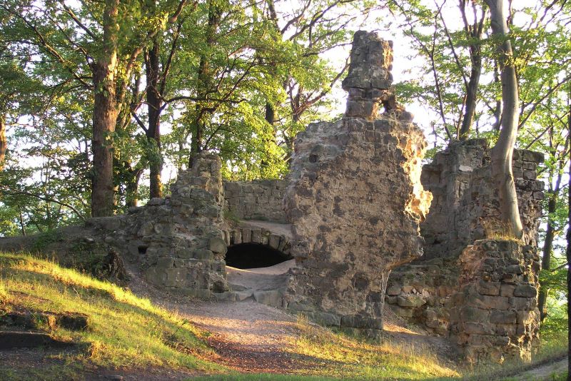 Děvín (hrad) - ventip.cz