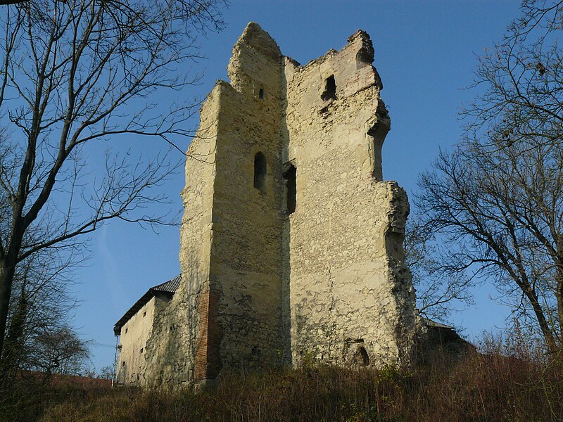 Dražice (hrad) - ventip.cz