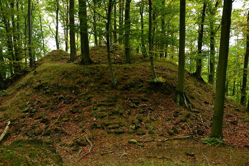 Hausberk (hrad) - ventip.cz