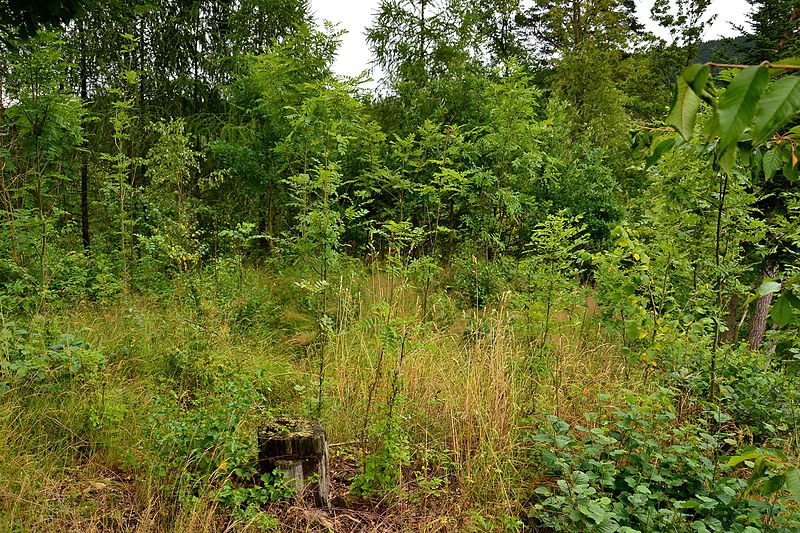 Hrad pod Hrnčířem (hrad) - ventip.cz