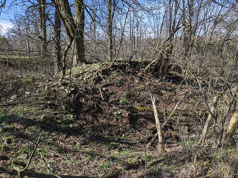 Humniště (tvrz) - ventip.cz