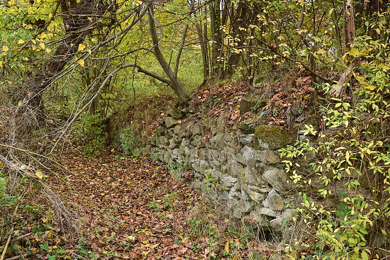Ježov (hrad) - ventip.cz
