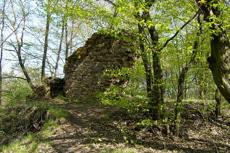 Klabava (hrad) - ventip.cz