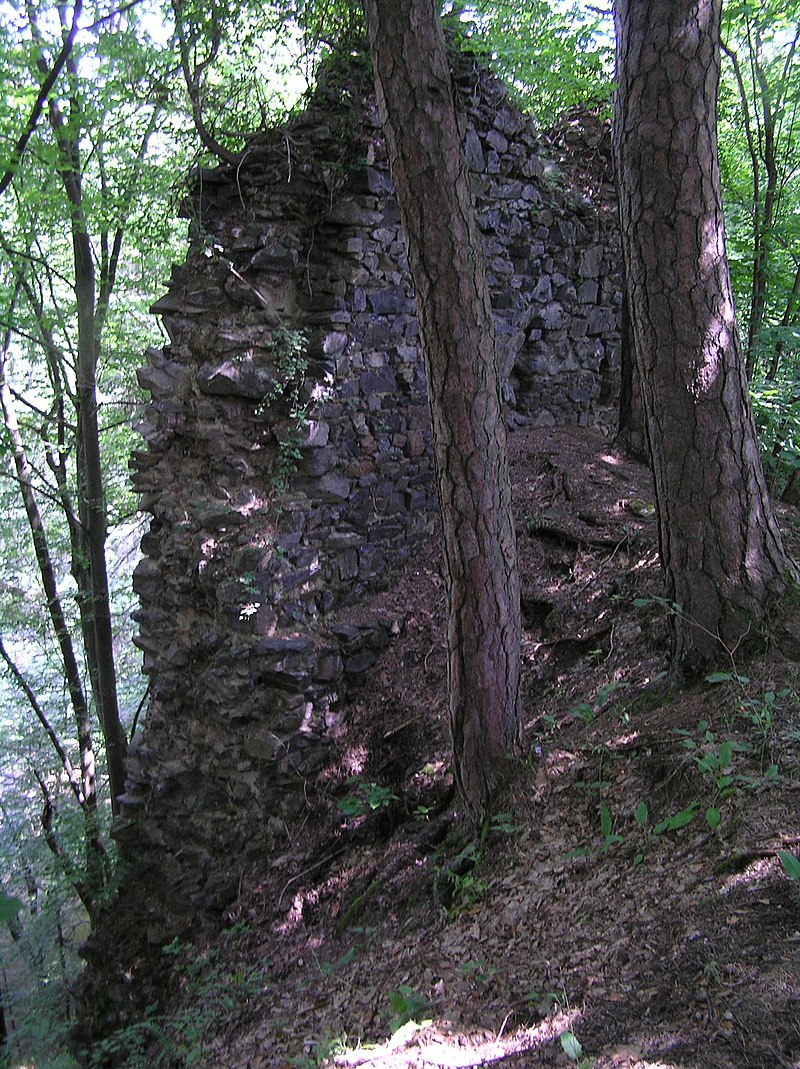 Kozí hřbet (hrad) - ventip.cz