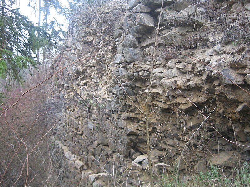 Kožlí (hrad) - ventip.cz