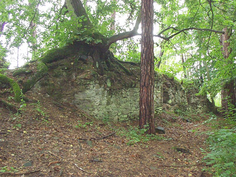 Křikava (hrad) - ventip.cz