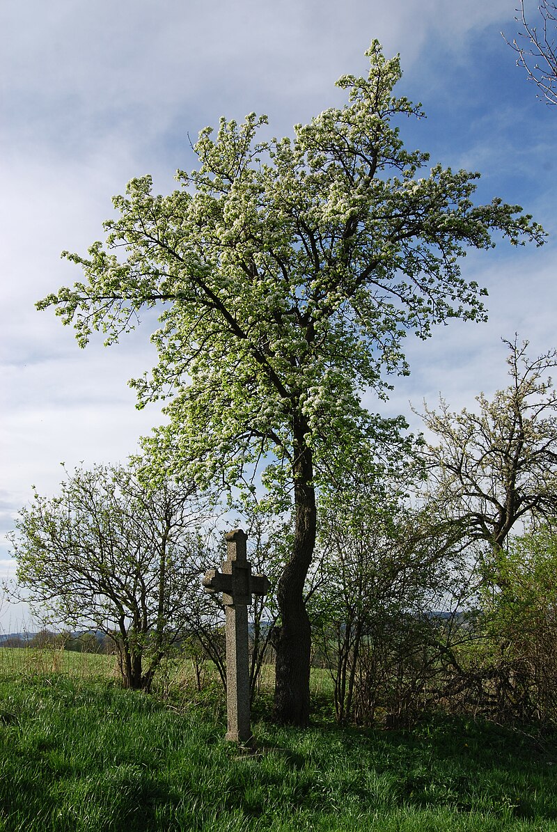 Křížová cesta (Jistebnice) - ventip.cz