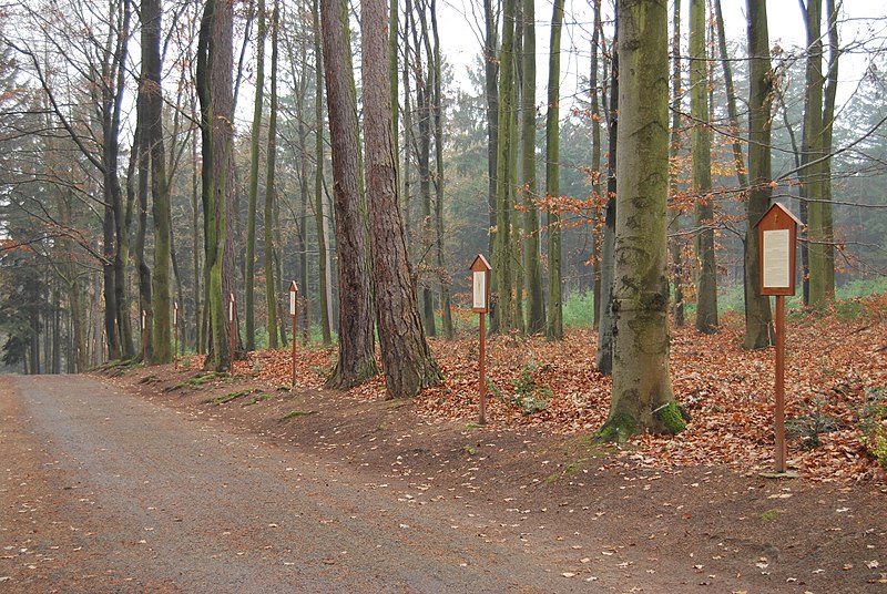 Křížová cesta (Lomec) - ventip.cz