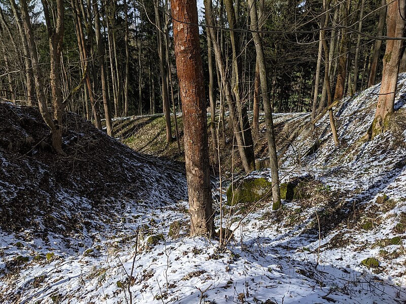 Levín (hrad) - ventip.cz