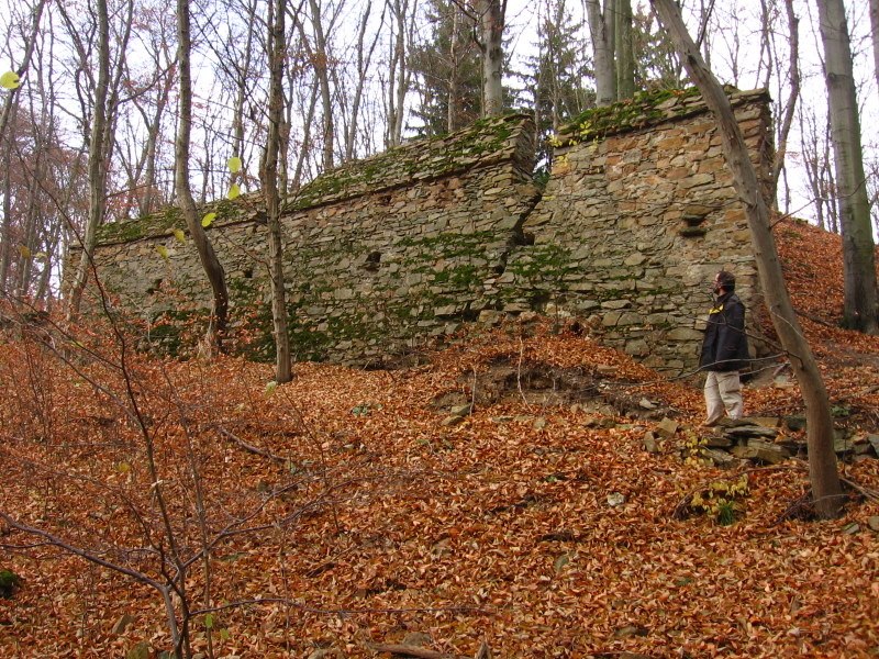 Loučky (hrad) - ventip.cz