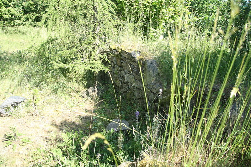 Mstěnice (hrad) - ventip.cz