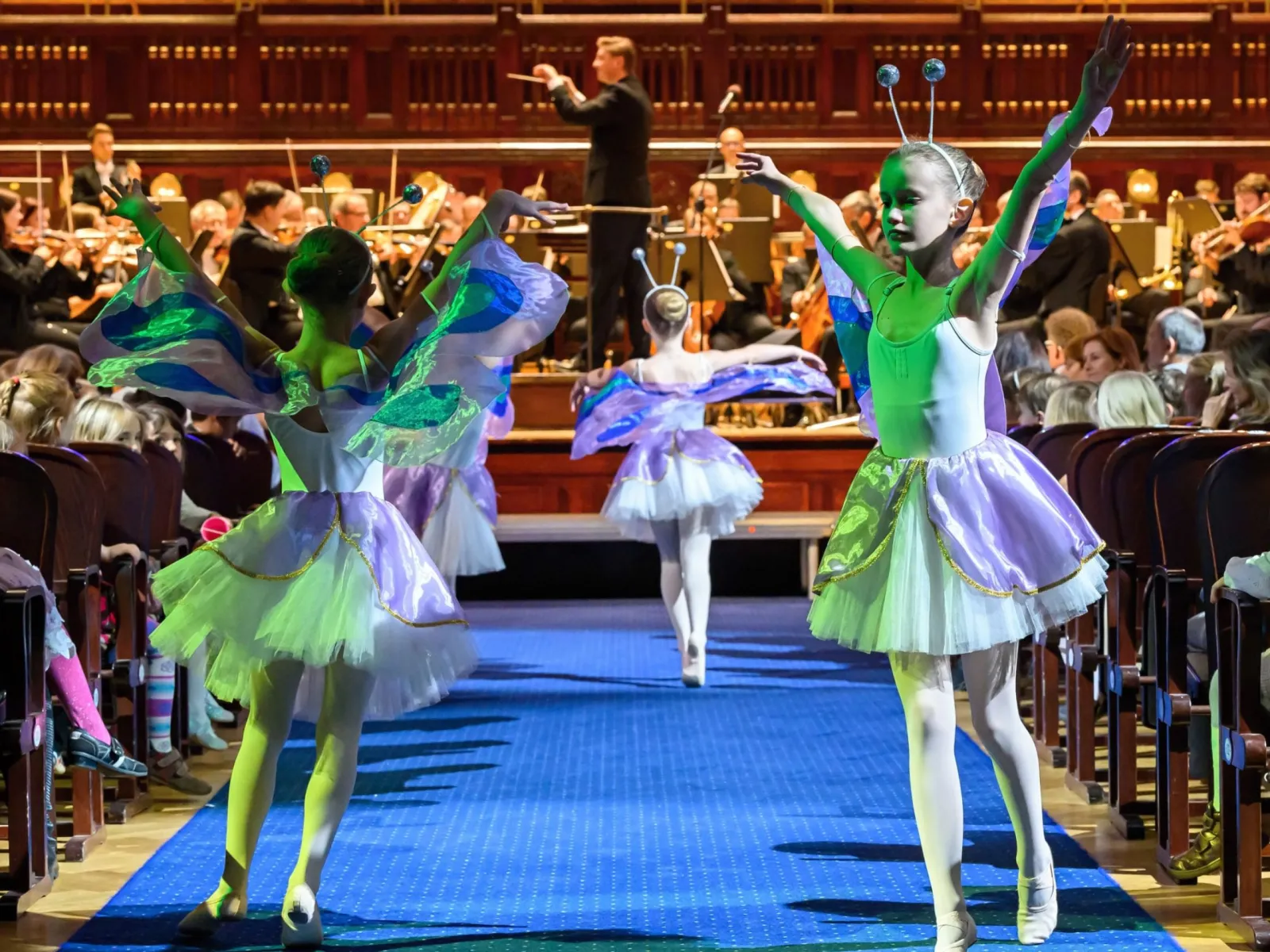 Orchestr na dotek IV – Hudba do lesa i zahrady - ventip.cz