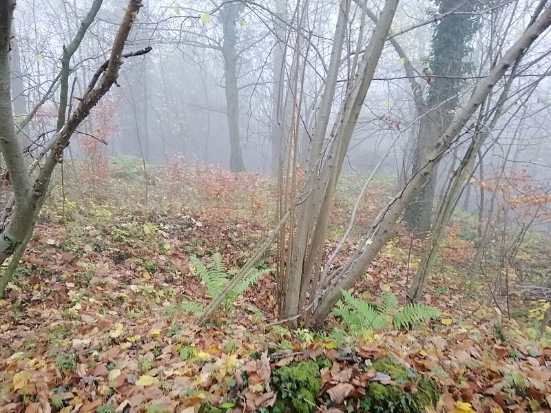 Orlík (hrad) - ventip.cz