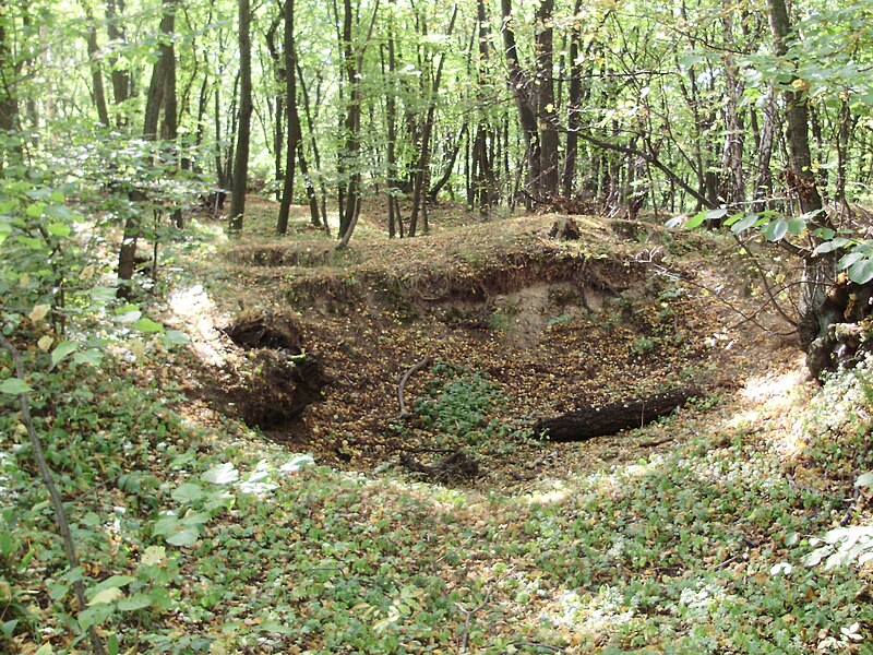 Orlovice (hrad) - ventip.cz