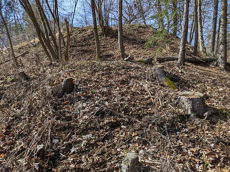 Ostrov (tvrz) - ventip.cz