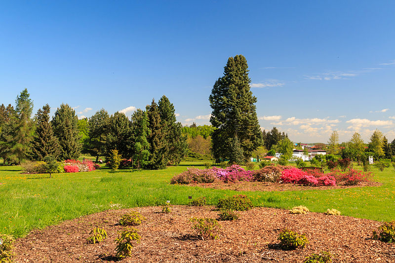 Průhonická botanická zahrada - ventip.cz