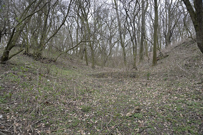 Řisuty (tvrz) - ventip.cz