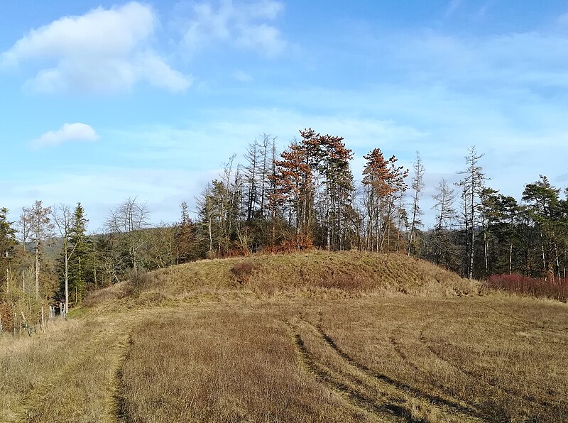 Rysov (hrad) - ventip.cz