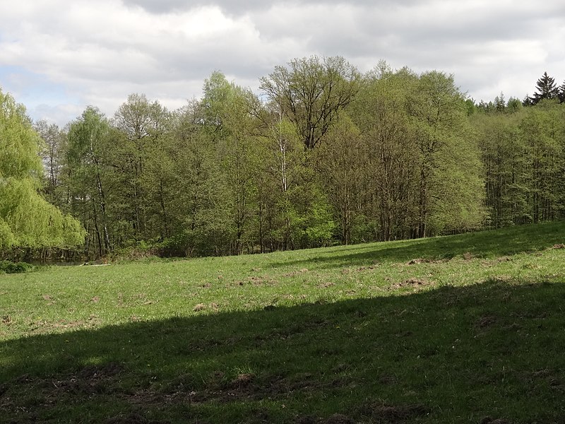 Skalsko (tvrz) - ventip.cz