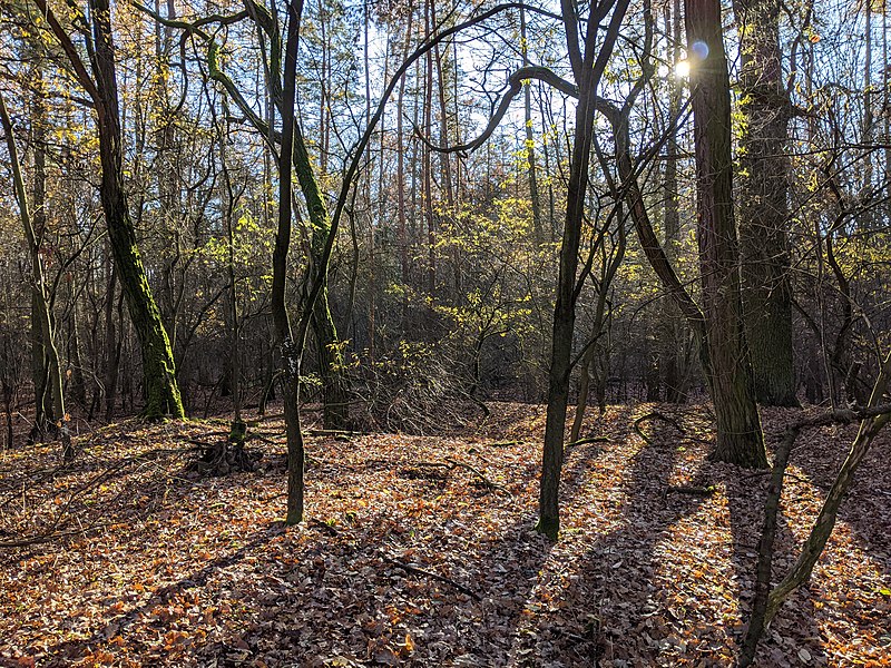 Slavětice (tvrz) - ventip.cz