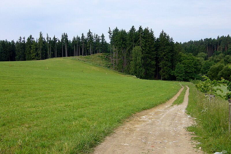 Šontál (hrad) - ventip.cz