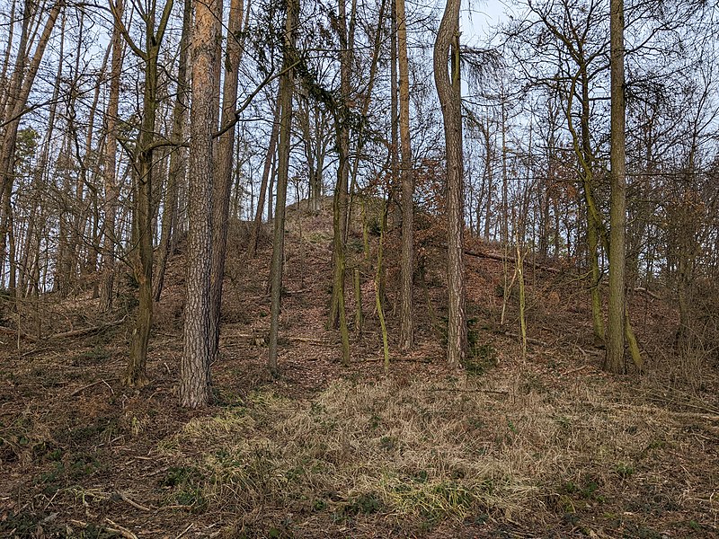 Stajice (hrad) - ventip.cz