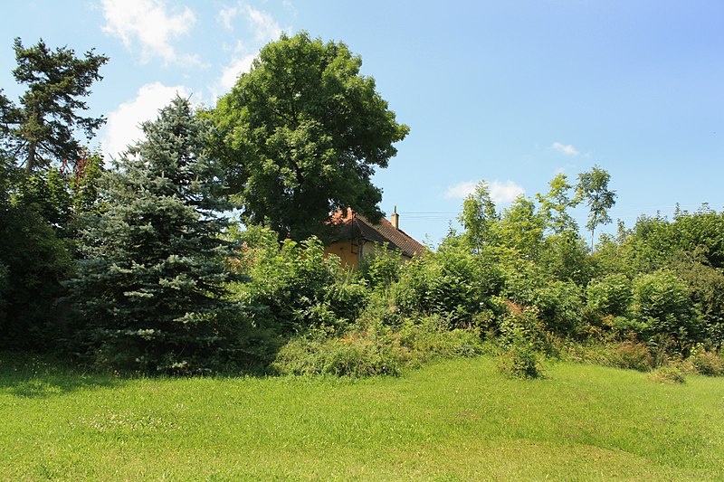 Strašice (hrad) - ventip.cz