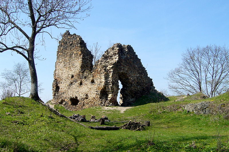 Týřov (hrad) - ventip.cz