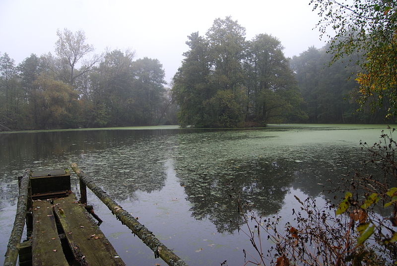 Vepice (tvrz) - ventip.cz