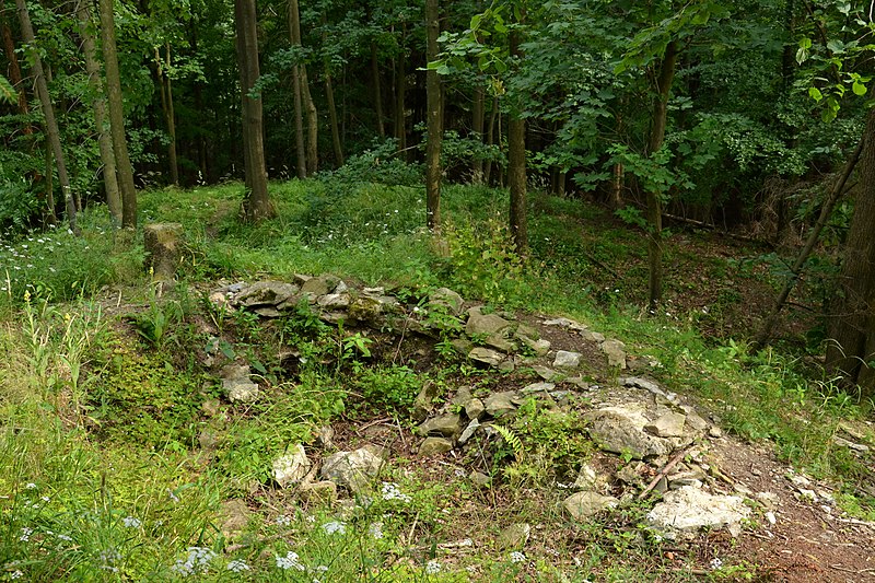 Vlčinec (hrad) - ventip.cz