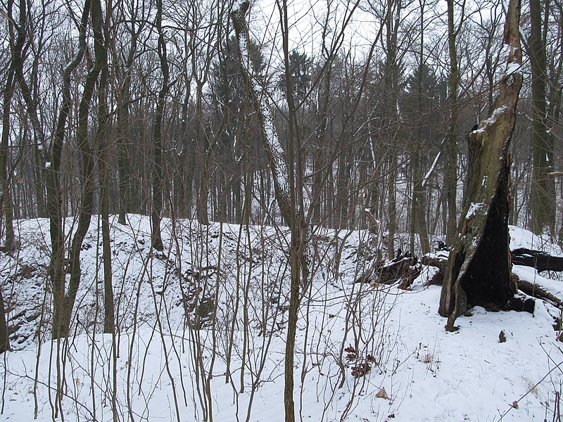 Vrtba (hrad) - ventip.cz