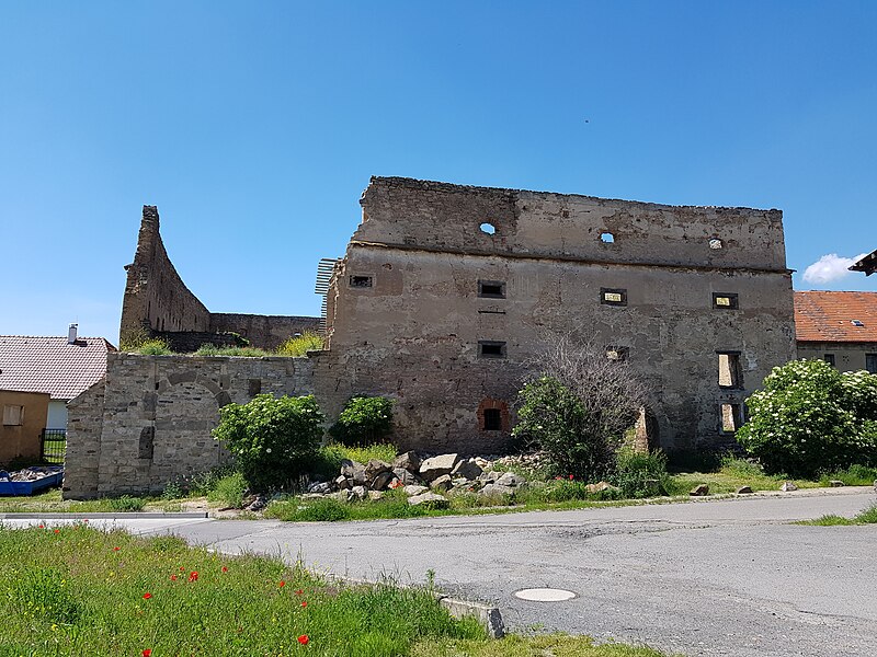Vyšehořovice (tvrz) - ventip.cz
