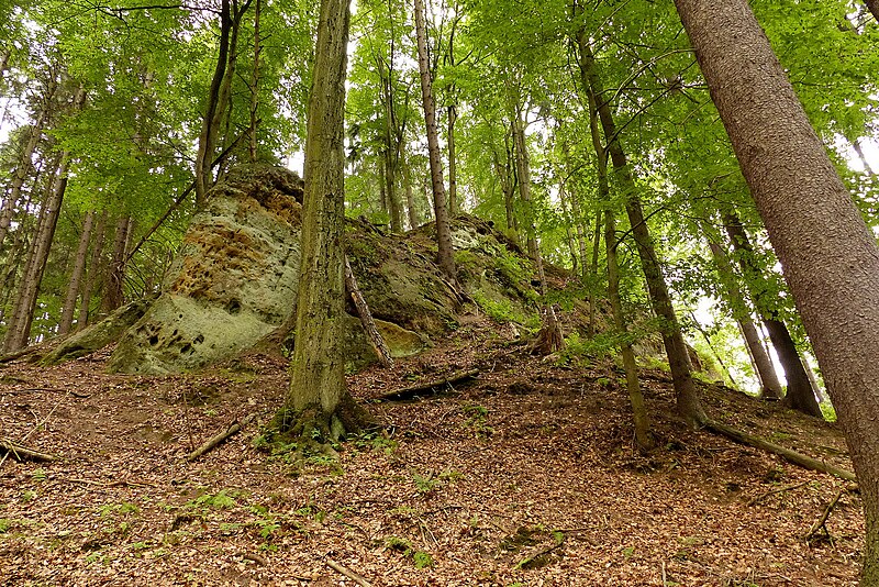 Zbyny (hrad) - ventip.cz