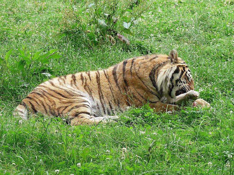 Zoologická zahrada Tábor - ventip.cz