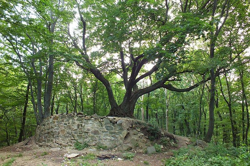 Zuvačov (hrad) - ventip.cz